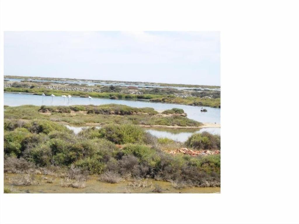 Gruissan Appartement Calme, Vue Sur Port De Plaisance -Clim, Empl.Parking Exterior foto